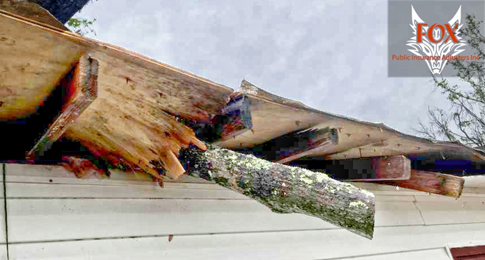 Tree roof damage in Palm Beach County