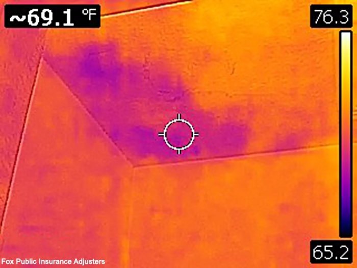 Thermal camera image showing ceiling home damage