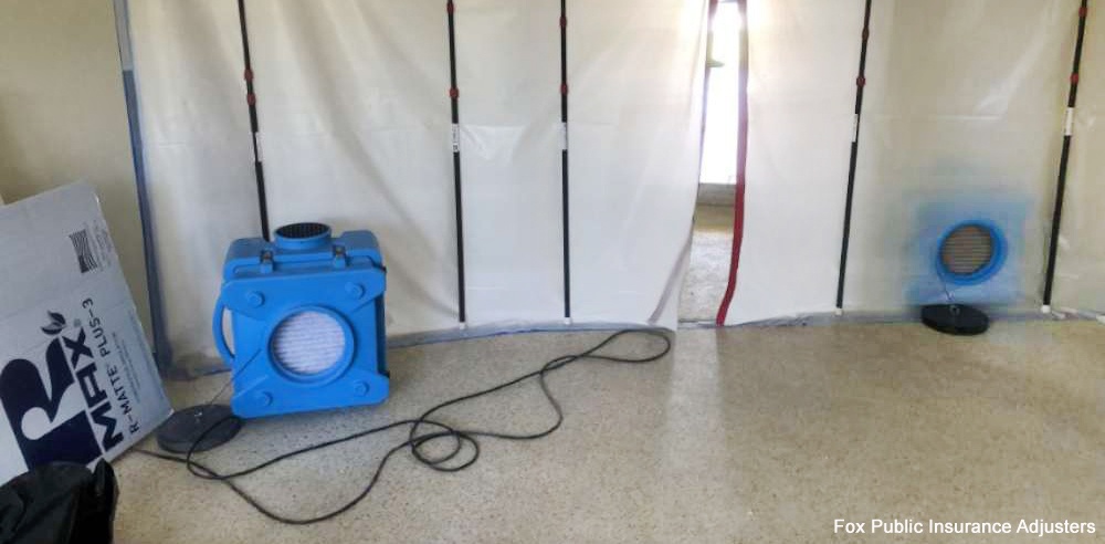 South Florida home mold removal.