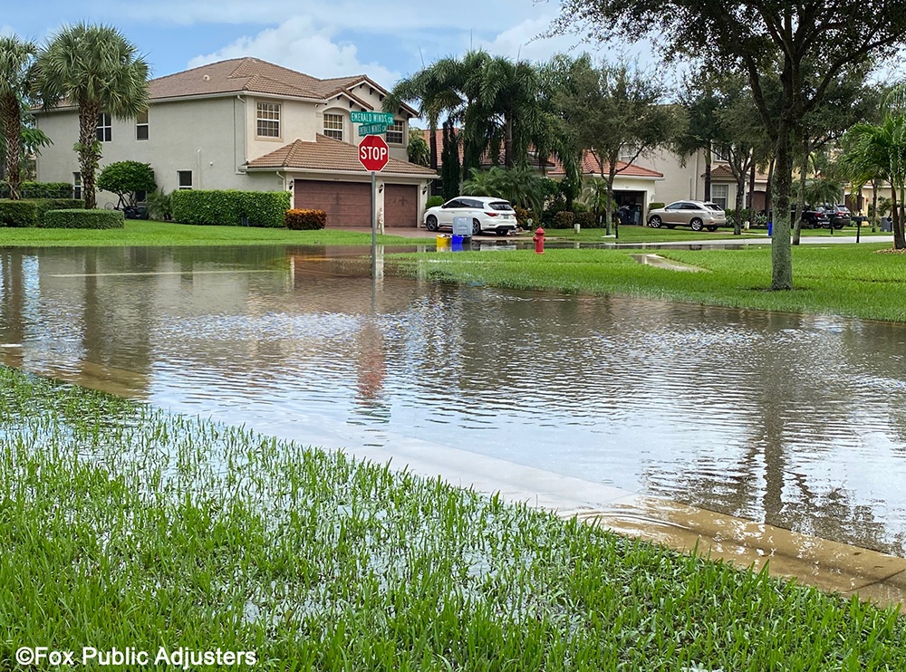 Flood from a Palm Beach County Storm