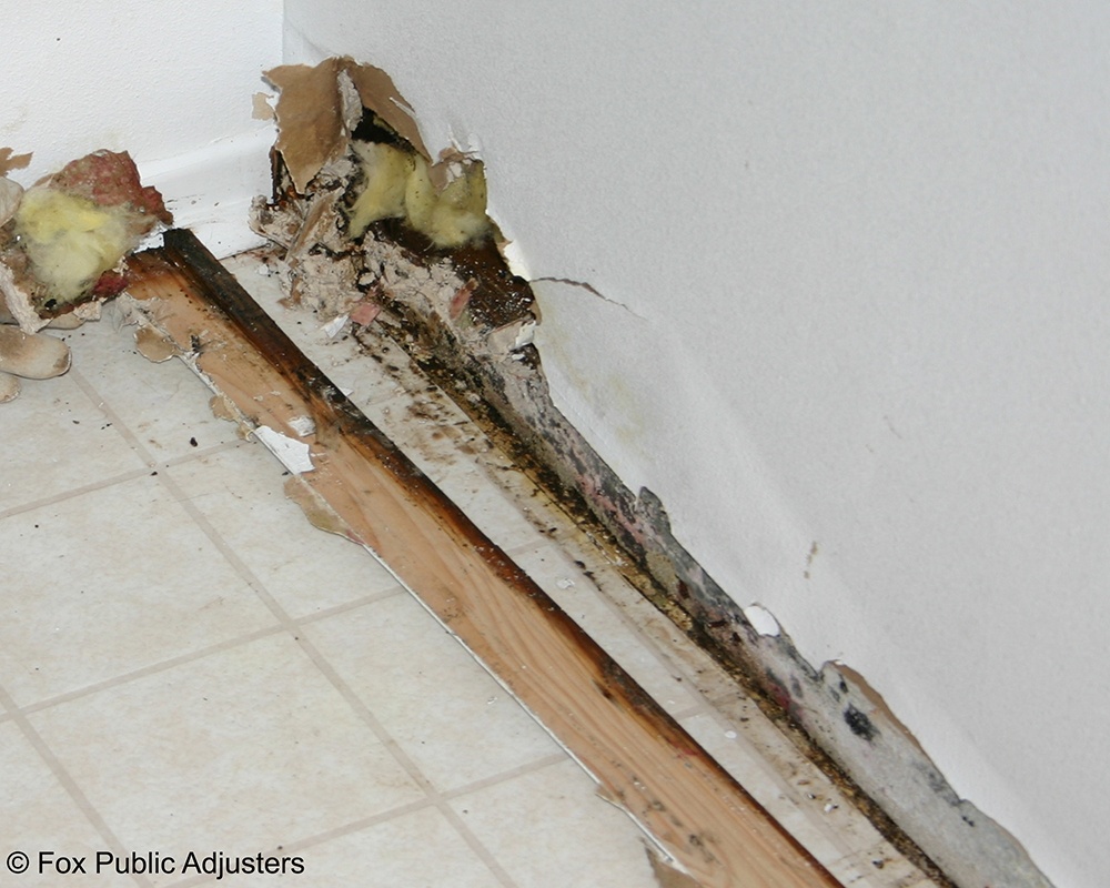 Home water damage in a Palm Beach County home