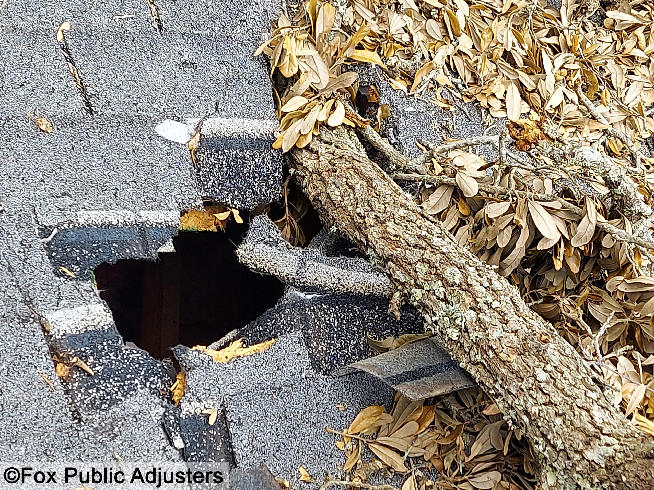 Roof damage in a Palm Beach County home.