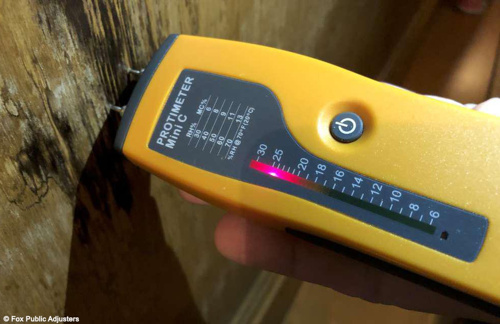 Moisture test meter used in a Boca Raton home.