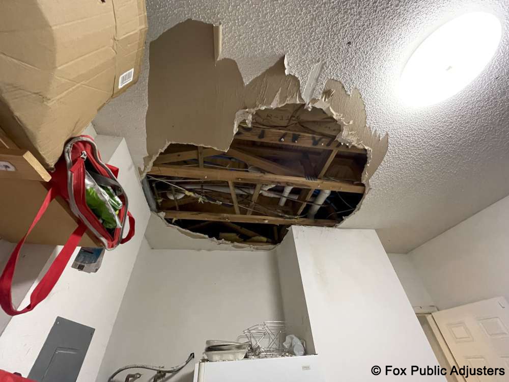 Check out this ceiling damage!