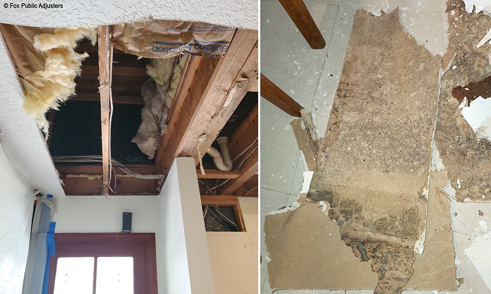 Mold damage from a leaking roof